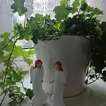 Okretowa 23 Bolek Lolek *