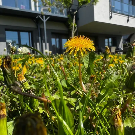 Apartamento Okretowa 23 Bolek Lolek