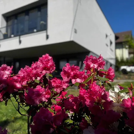 Okretowa 23 Bolek Lolek Apartamento *