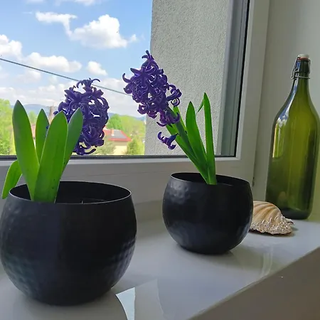 Apartment Okretowa 23 Bolek Lolek Bielsko-Biala