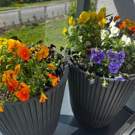 דירה Okretowa 23 Bolek Lolek ביילסקו-ביאלה