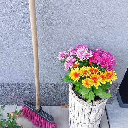 Okretowa 23 Bolek Lolek * ביילסקו-ביאלה