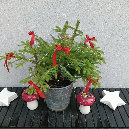 Okretowa 23 Bolek Lolek * Bílsko-Bělá