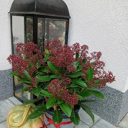Okretowa 23 Bolek Lolek * 别尔斯克-比亚拉