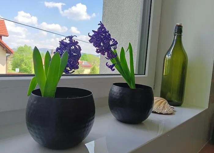 Apartmán Okretowa 23 Bolek Lolek Bílsko-Bělá