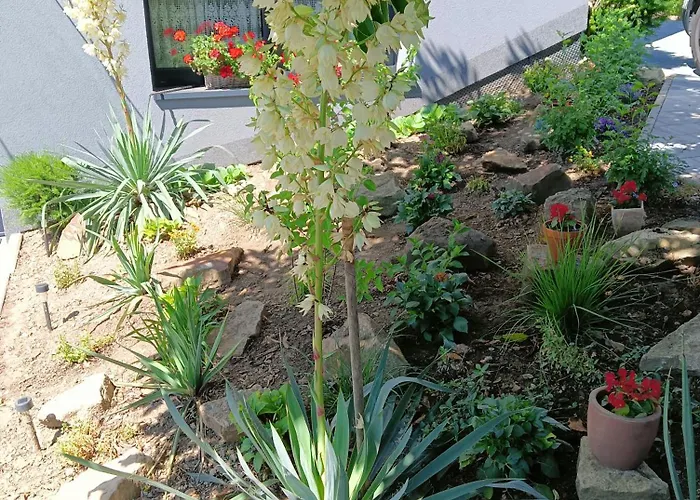 Appartement Okretowa 23 Bolek Lolek