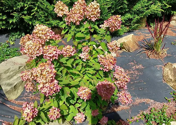 Appartement Okretowa 23 Bolek Lolek Bielsko-Biała