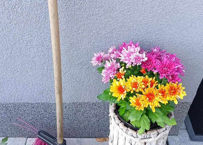 Okretowa 23 Bolek Lolek * Bielsko-Biala