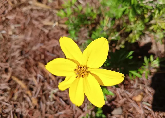 Okretowa 23 Bolek Lolek Apartmán