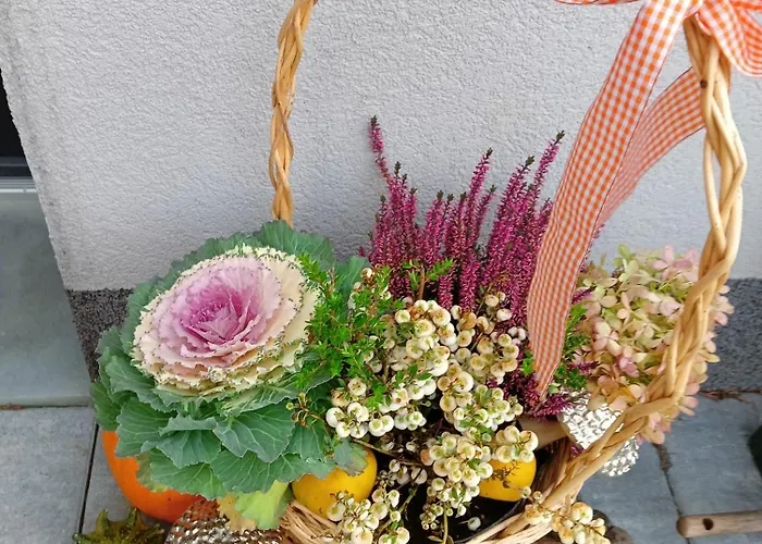 Okretowa 23 Bolek Lolek * Bielsko-Biała