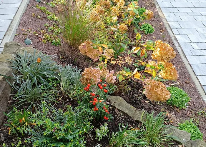 Okretowa 23 Bolek Lolek * Bielsko-Biała