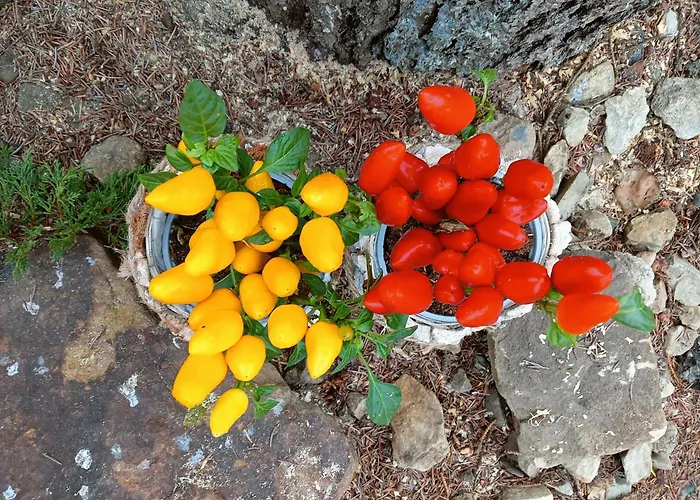 Okretowa 23 Bolek Lolek Apartmán