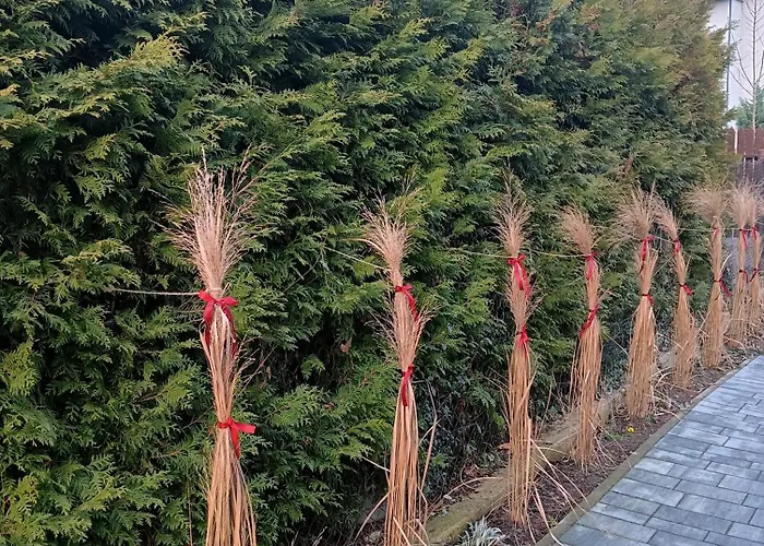 Appartement Okretowa 23 Bolek Lolek *