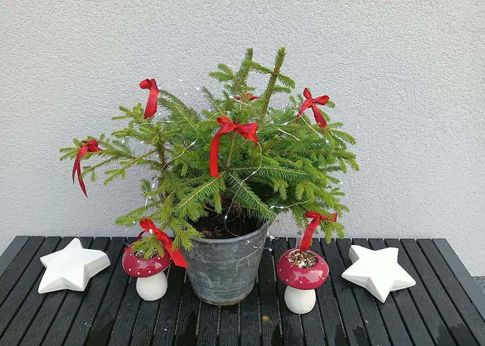 Okretowa 23 Bolek Lolek * Bielsko-Biała