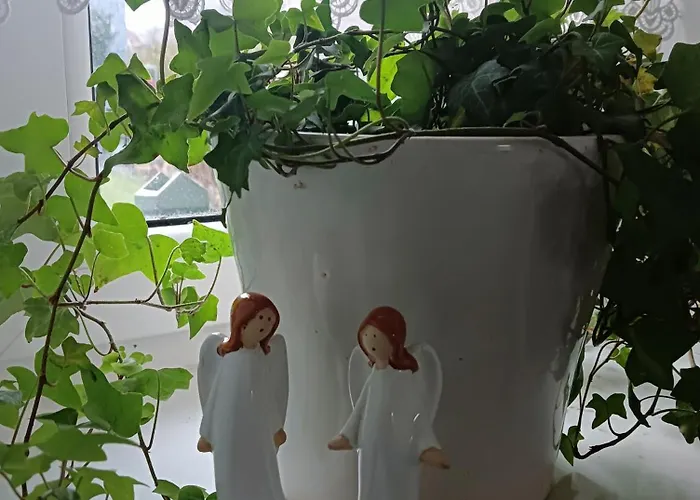 Okretowa 23 Bolek Lolek *