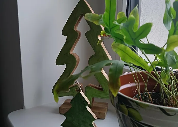 Okretowa 23 Bolek Lolek Apartmán *