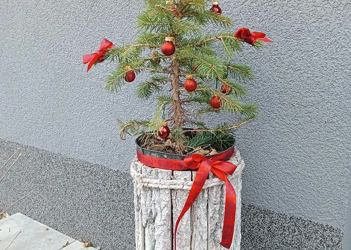 Apartmán Okretowa 23 Bolek Lolek