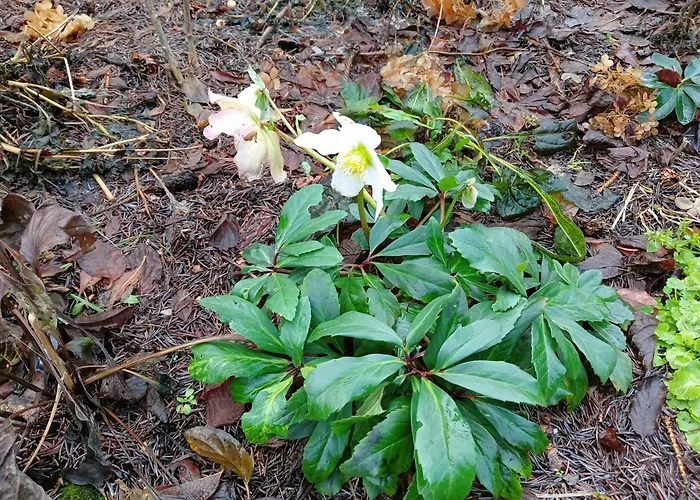 Okretowa 23 Bolek Lolek Appartement *