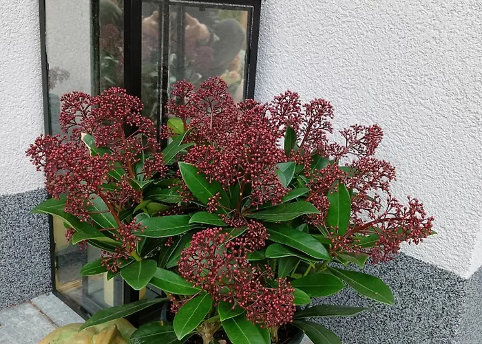 Okretowa 23 Bolek Lolek * Bílsko-Bělá